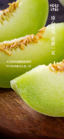甜瓜活动海报