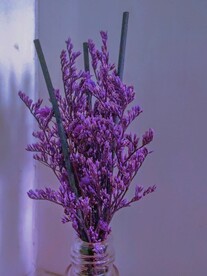 紫色花