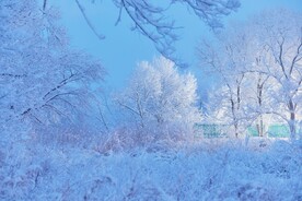 雪景
