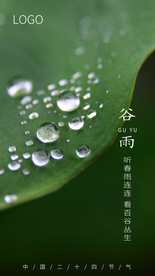 谷雨