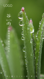 谷雨