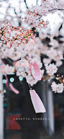 清明节海报