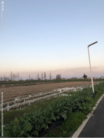 傍晚乡村田野的路边