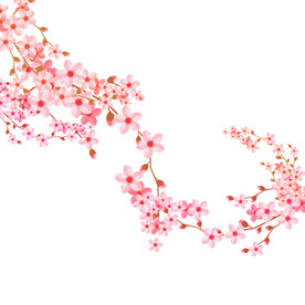 插画樱花植物元素