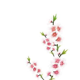 花朵装饰元素