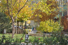 北京秋天园林植物景观