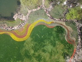 航拍花海花海草地花带太子湾