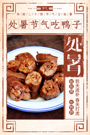 处暑节气传统活动宣传海报素材