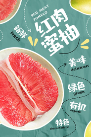红肉蜜柚促销活动宣传海报素材