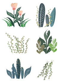 植物