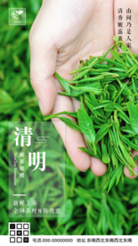 清明新品春茶促销茶叶海报