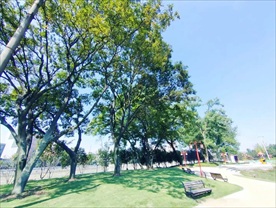 公园一角