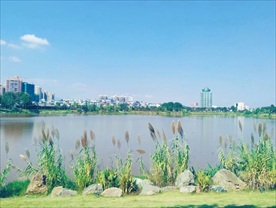 湖边美景
