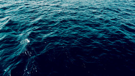 海