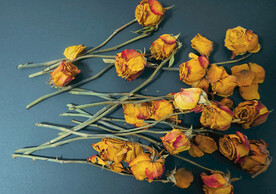 干玫瑰花