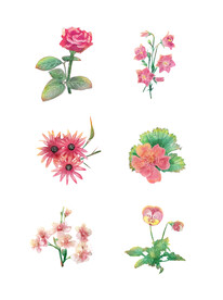 鲜花
