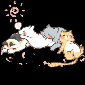可爱的小猫