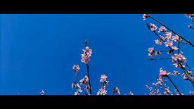 『 摄    影 』
