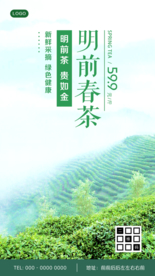 明前春茶上市促销海报