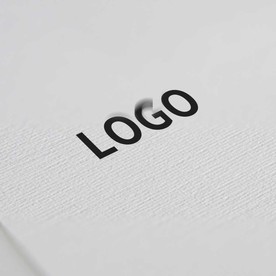 纸张印刷效果logo样机