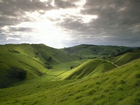 田园风景 风景 农田