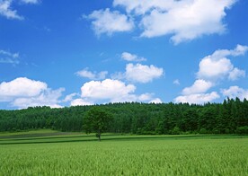 蓝天白云草地图