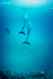 海底
