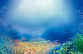 海底世界