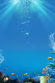 海底世界