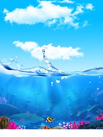 海底世界