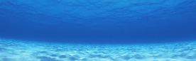 海底世界