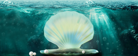 海底世界