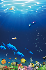 海底世界