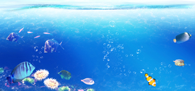 海底世界