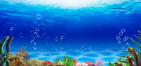海底世界