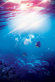 海底世界