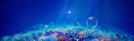 海底世界