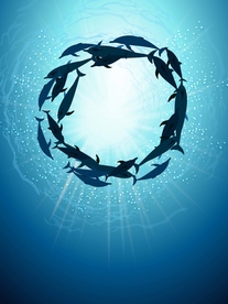 海底世界