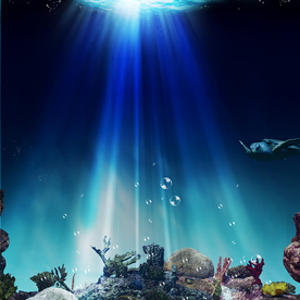 海底世界