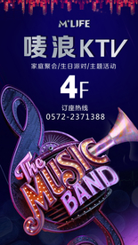 音乐节