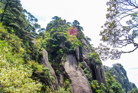山青山