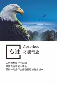 企业文化展板设计 专注才能专业