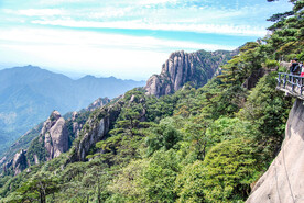 山青山