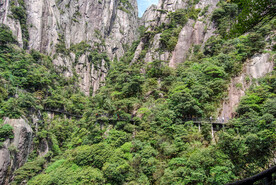 山青山