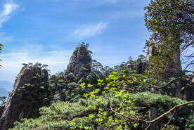 山青山