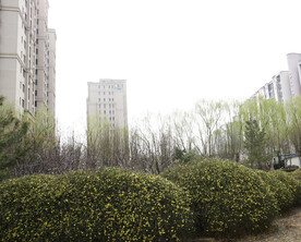 城市公园