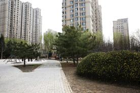 城市公园