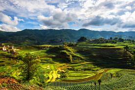 云南梯田