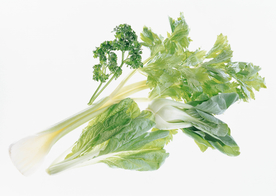 白底芹菜与白菜