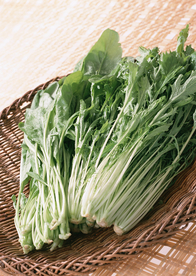 蔬菜